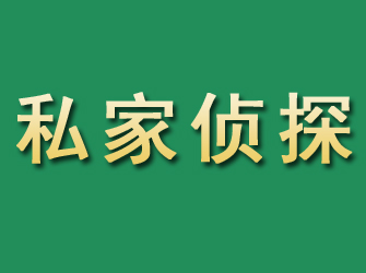 定南市私家正规侦探